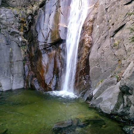 Pensión Fonda Vilalta Ribes De Freser Exterior foto